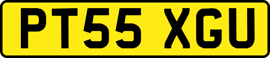 PT55XGU