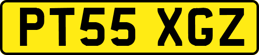 PT55XGZ