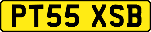 PT55XSB