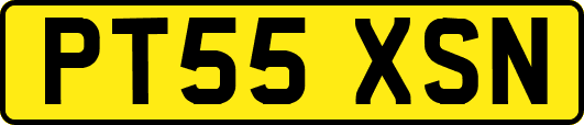 PT55XSN