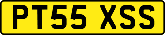 PT55XSS