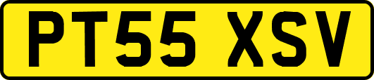 PT55XSV
