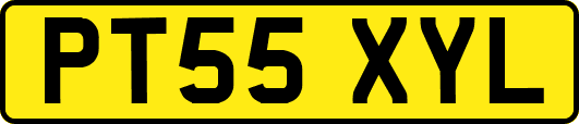 PT55XYL