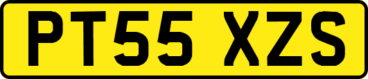 PT55XZS