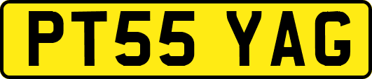 PT55YAG