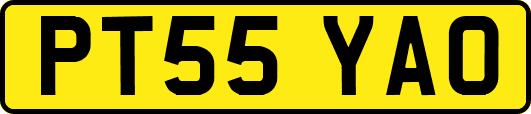 PT55YAO