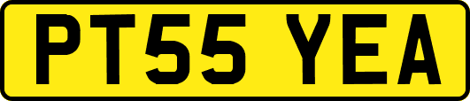 PT55YEA
