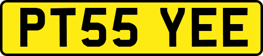 PT55YEE