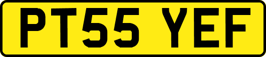 PT55YEF