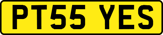 PT55YES