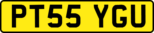 PT55YGU