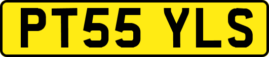 PT55YLS