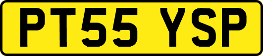 PT55YSP