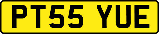 PT55YUE