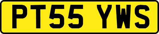 PT55YWS