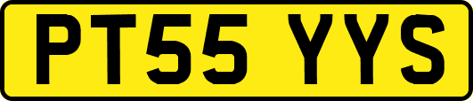 PT55YYS