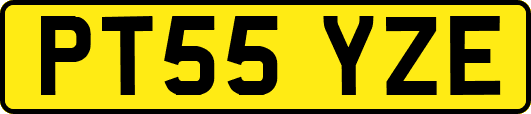 PT55YZE