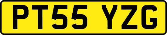 PT55YZG