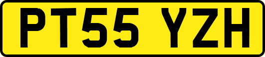 PT55YZH