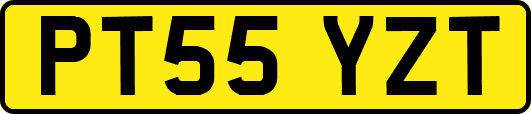 PT55YZT