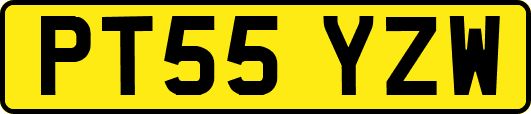 PT55YZW