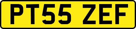 PT55ZEF