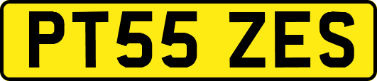PT55ZES