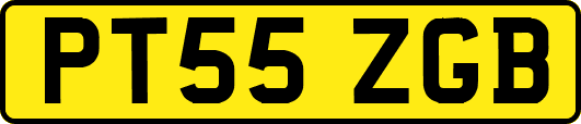 PT55ZGB