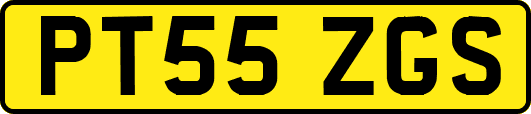 PT55ZGS