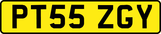 PT55ZGY