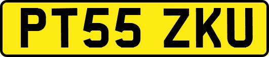 PT55ZKU