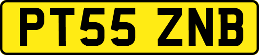 PT55ZNB