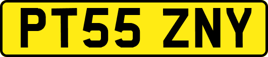 PT55ZNY