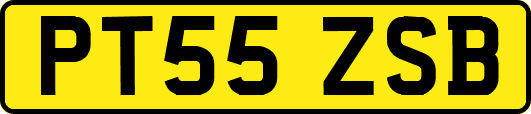 PT55ZSB