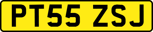 PT55ZSJ