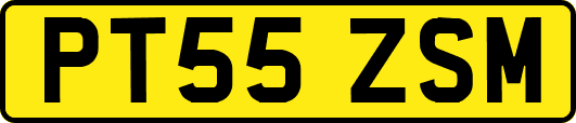 PT55ZSM