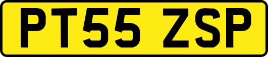 PT55ZSP