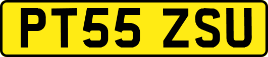 PT55ZSU