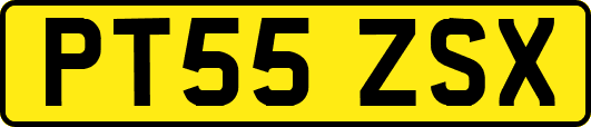 PT55ZSX