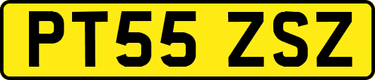 PT55ZSZ