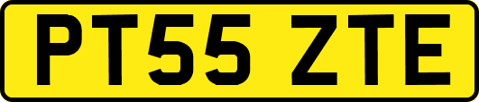 PT55ZTE