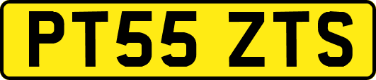 PT55ZTS