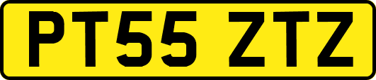 PT55ZTZ
