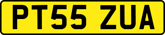 PT55ZUA