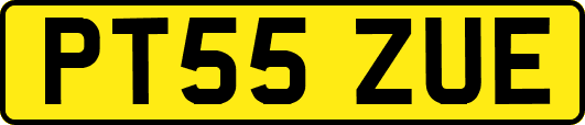 PT55ZUE