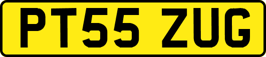 PT55ZUG