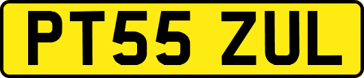 PT55ZUL
