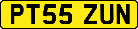 PT55ZUN