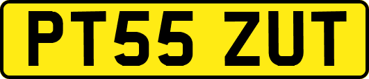 PT55ZUT