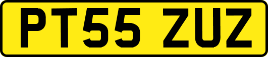 PT55ZUZ